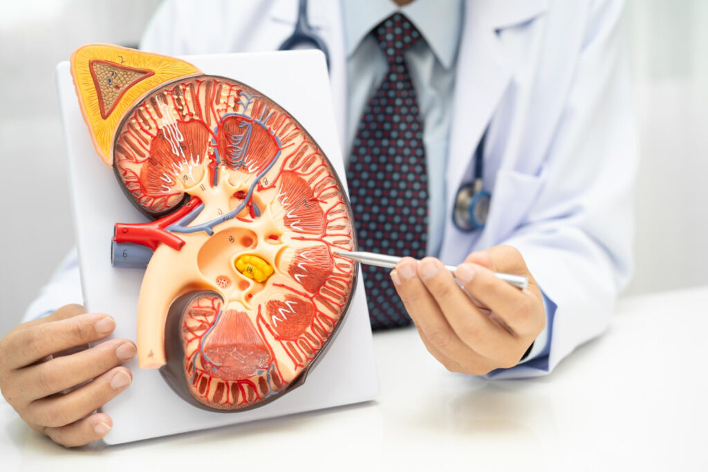 Reconstructive Urology